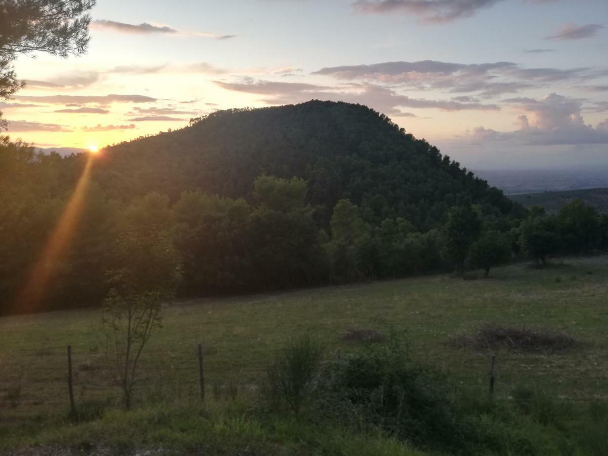 Posto Del Sole